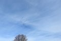 DSCN5334
