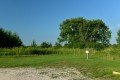 D85_1396a