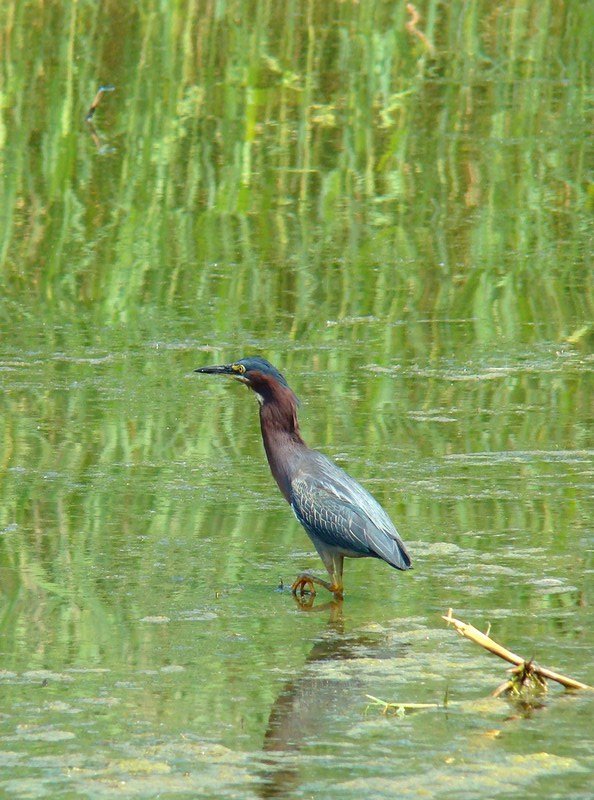 DSC04007