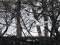 DSC01193.JPG