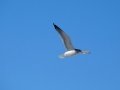 DSC01780.JPG