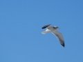 DSC01781.JPG