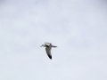DSC03755.JPG
