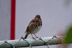DSC04150