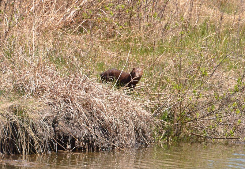 CDD_3980