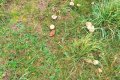 IMG20251011150733