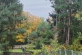 IMG20251012124918