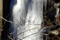 DSC04985