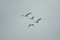 zaw23_sm-25