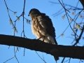 DSC05761.JPG
