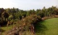 IMG_20161015_120326a