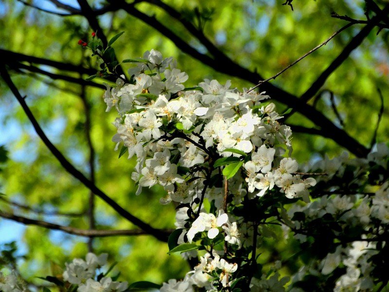 DSC05494