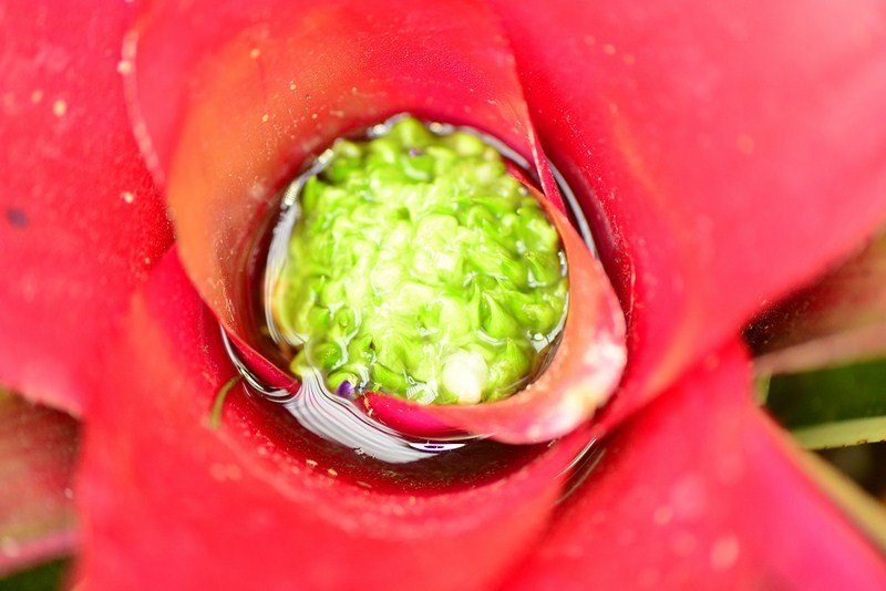 CDD_3585