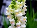 CDD_3647