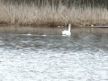 DSC06365