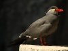 img_4687s