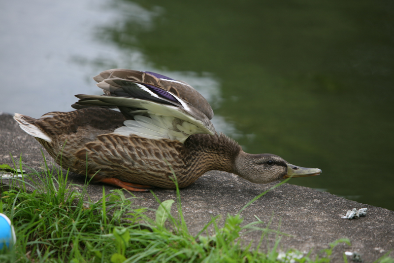 20120806_1