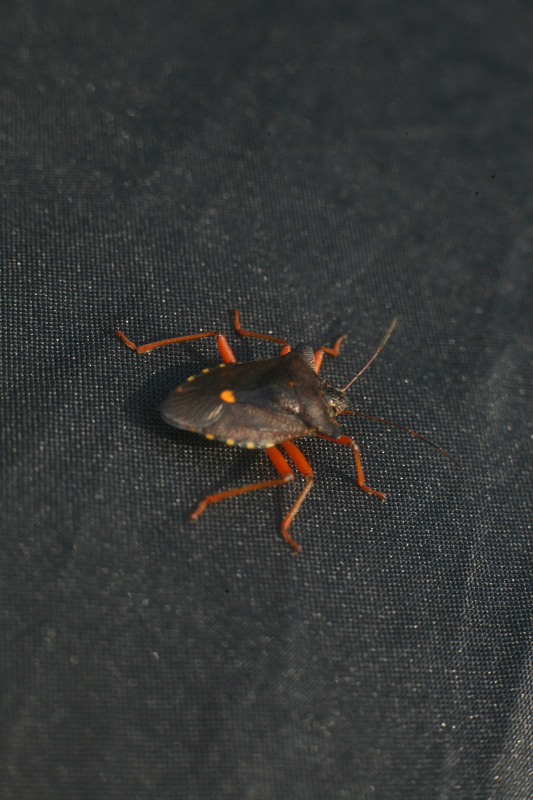 20120810_1
