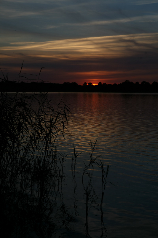 20120801_1