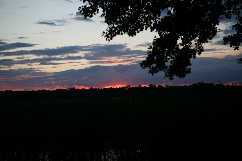 20120807_2