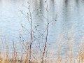 DSC04354
