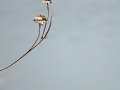 DSC04358