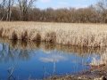DSC04371