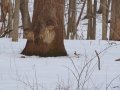 dsc01571