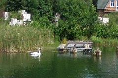 IMG_20160729_131527