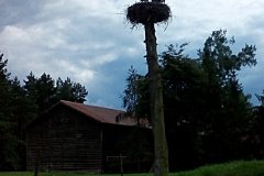 IMG_20160802_155632