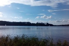 IMG_20160804_175428