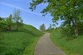 D85_1276a