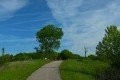D85_1278a
