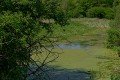 D85_1286a