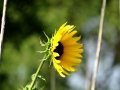 DSC09060