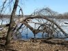 dsc05671-jpg-s