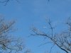 dsc05636-jpg-s