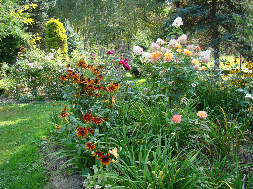 DSC04505