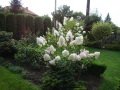 DSC04493
