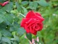 DSC04497