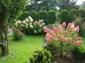 DSC04511