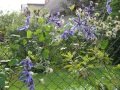 DSC04514
