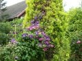 DSC04475