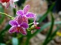 DSC04616