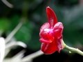 DSC04619
