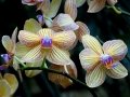 DSC04638