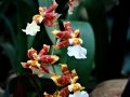 DSC04659
