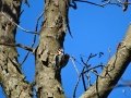 DSC05711.JPG