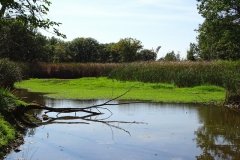 DSC04043