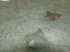 dsc03960s